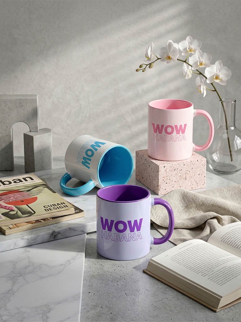 Taza bicolor 